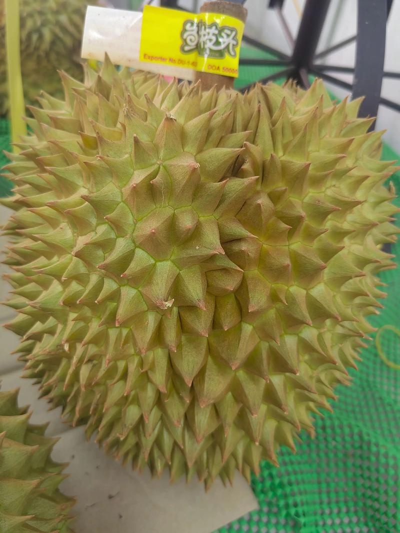 干尧榴莲