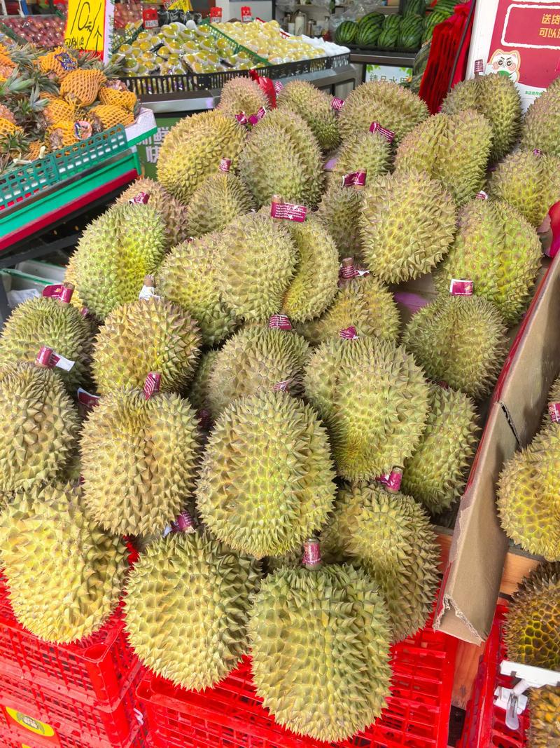 托曼尼榴莲
